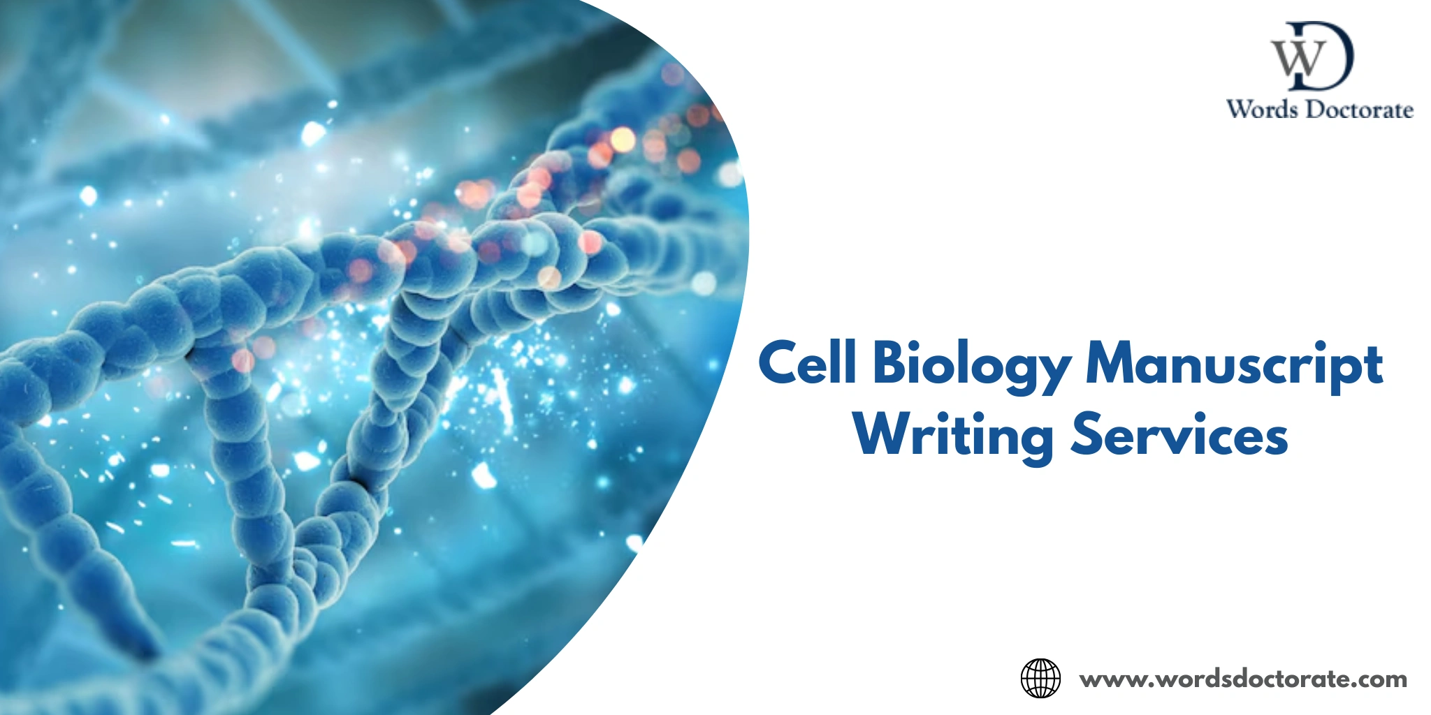 Cell Biology Manuscript Writing Services